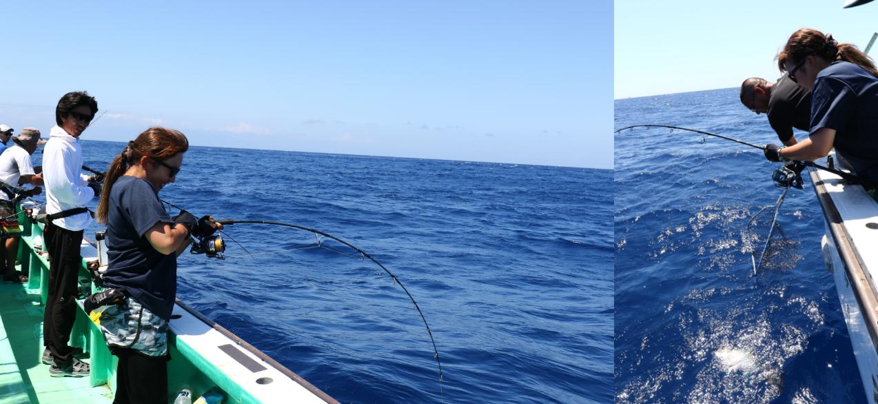 Sano Hiromu style Yellowfin tuna capture off the coast of Mie and Owase “ Tackle Edition”