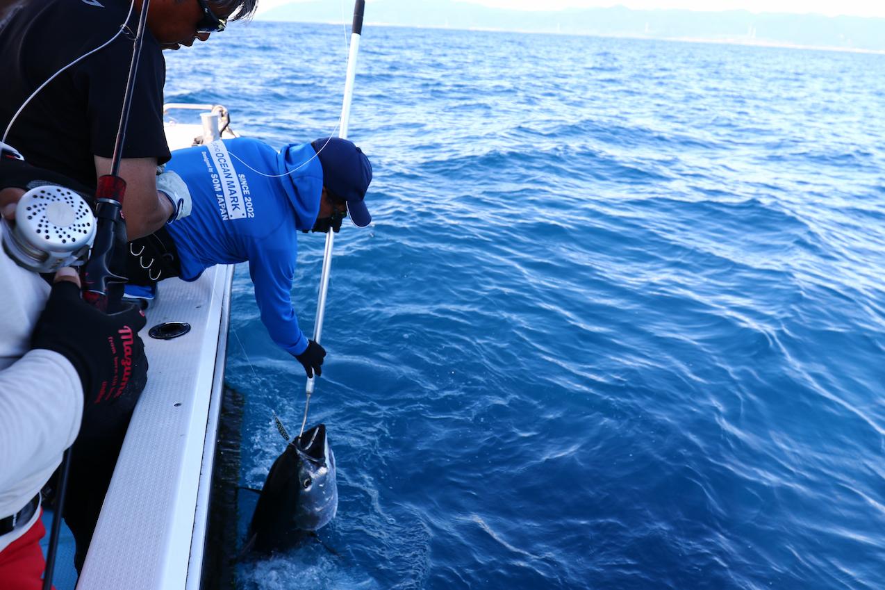 Tuna Fishing Gear