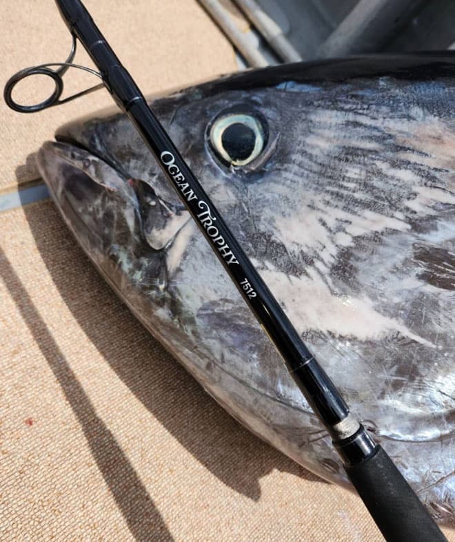 Stand up rod and fight the monster class SAKURA LURE DIVISION Tuna casting rod, Ocean Trophy