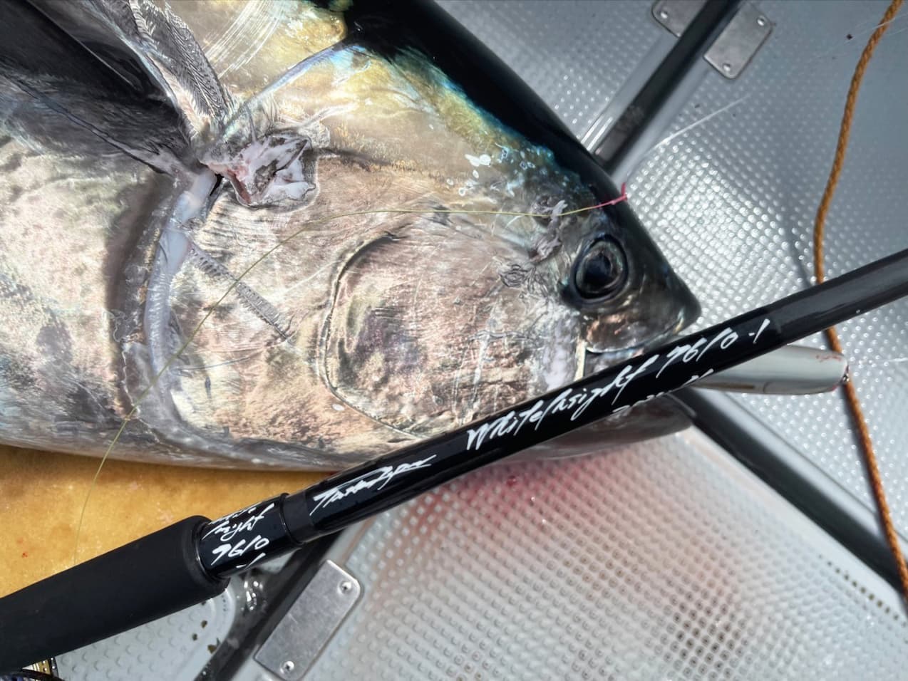 クロマグロキャスティングで気になるロッド<br>TRUTH JAPAN<br>「Whitelnsight 7610」「Whitelnsight8210」
